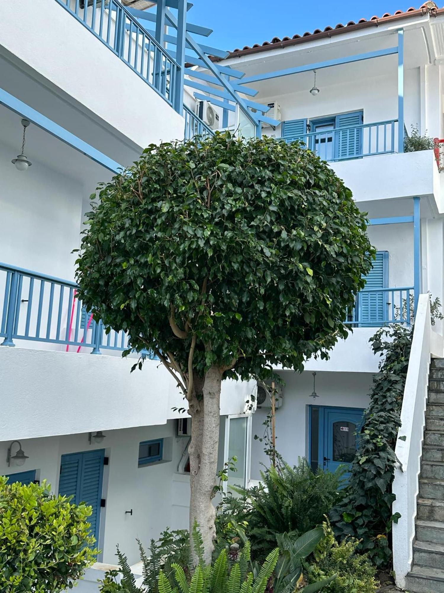 Villa Mertiza Myrtos Exterior foto